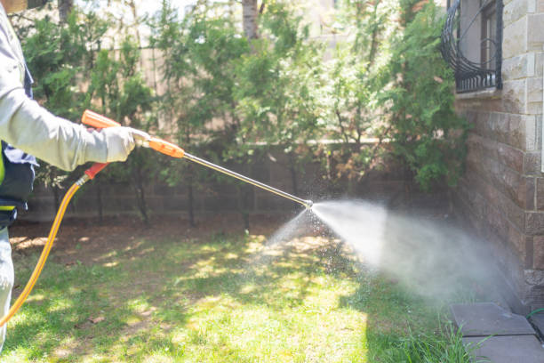 Professional Pest Control in Peekskill, NY